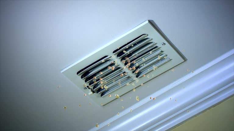 Best Emergency Air Duct Cleaning  in Brooklyn, IN